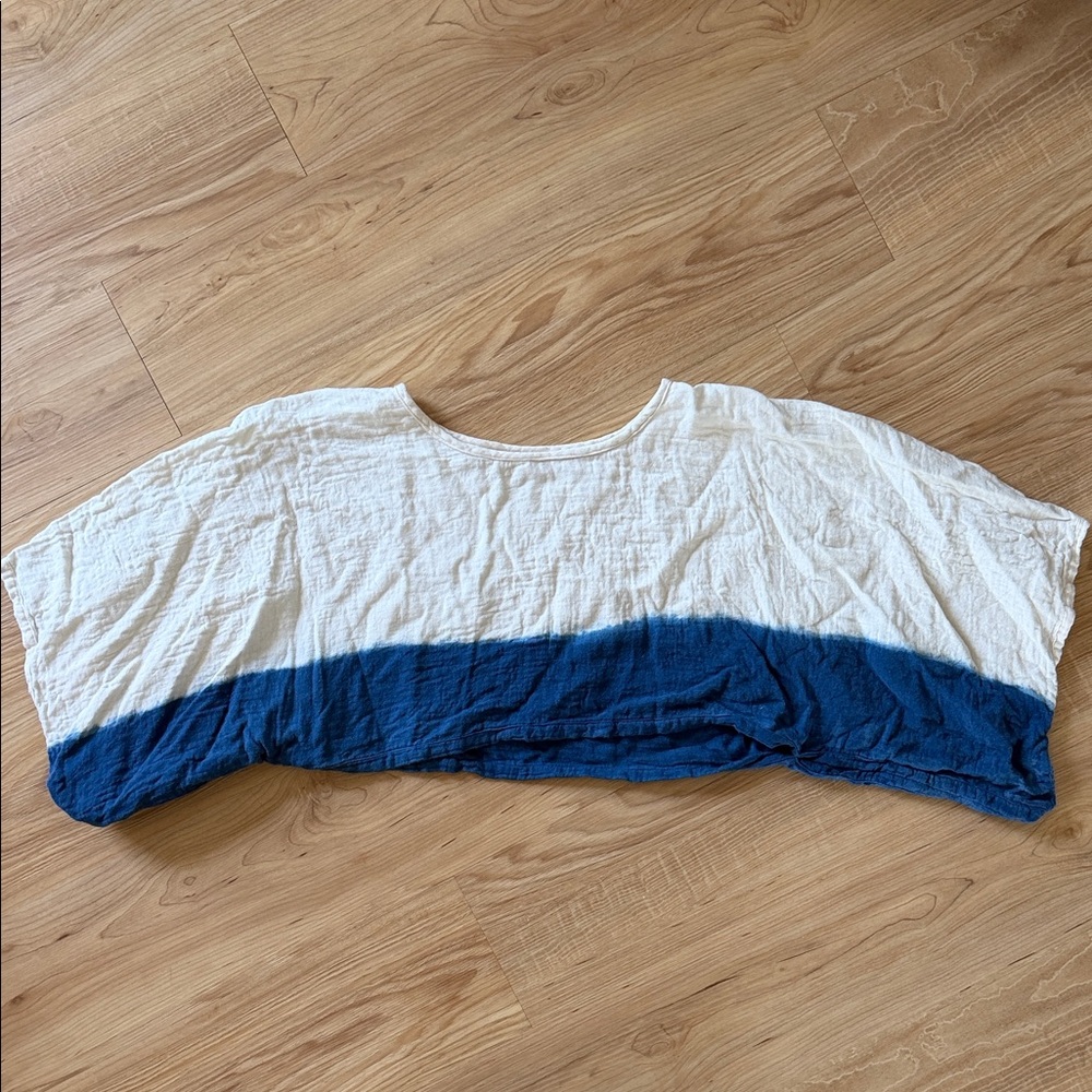 Blue and White Cropped Top
